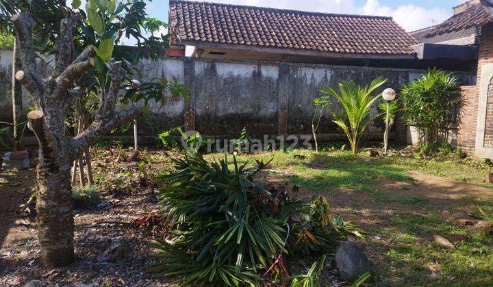 Jual Cepat Rumah Bonus Toko Di Parastembok, Sempu, Banyuwangi 2