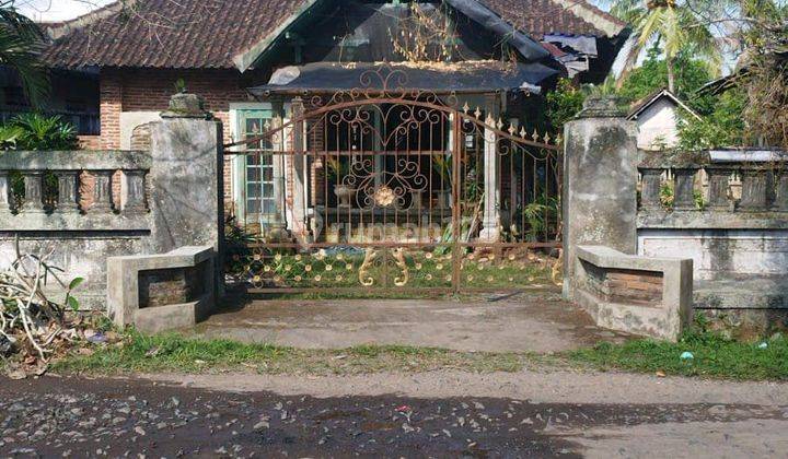 Jual Cepat Rumah Bonus Toko Di Parastembok, Sempu, Banyuwangi 1