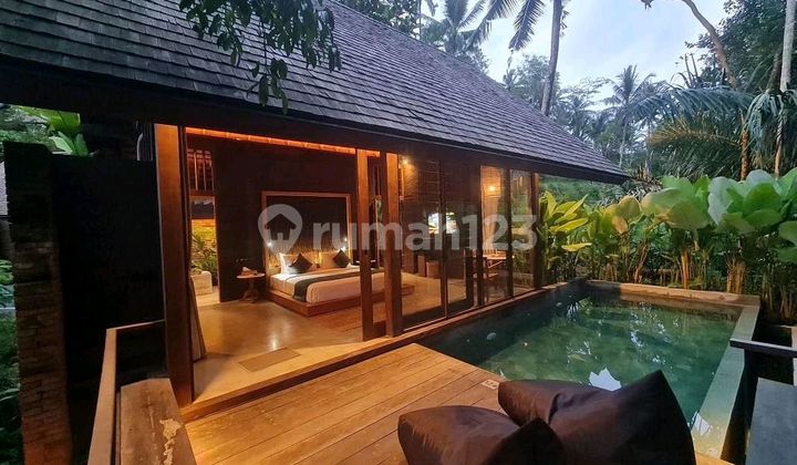 Ready Unit! One Bedroom Villatel On The Edge Of Ubud River Valley
