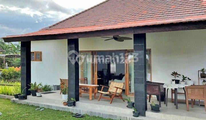 Rumah Halaman Luas & Asri Di Pering, Dekat Pantai Saba 2