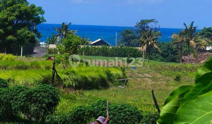 Strategic Land Location with Rice Field & Sea Views, Near Dyatmika School, Ketewel, Gianyar