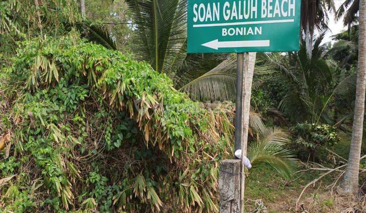 For Sale Quickly Land Ocean View In Soan Galuh Beach, Antab, Tabanan 1