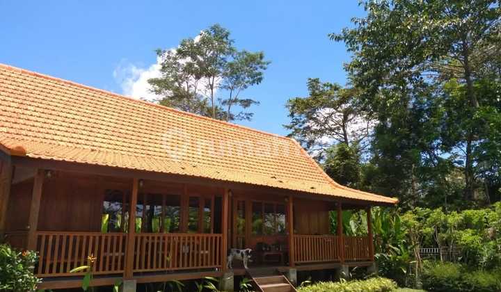 Wooden House With Hill View & Sunset, In Quiet & Peacefull Area, Payangan, Gianyar