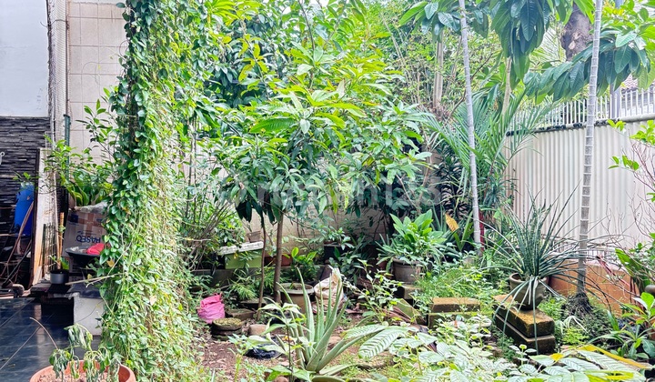 Dijual Rumah di Tomang Jakarta Barat 2