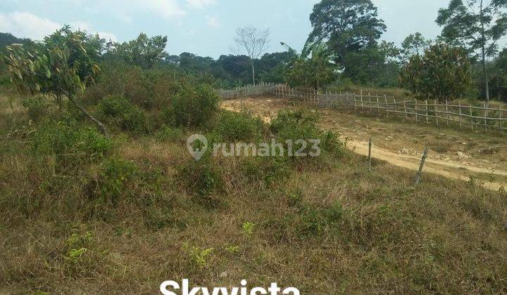 Tanah Strategis di Daerah Sukamakmur Bogor 1