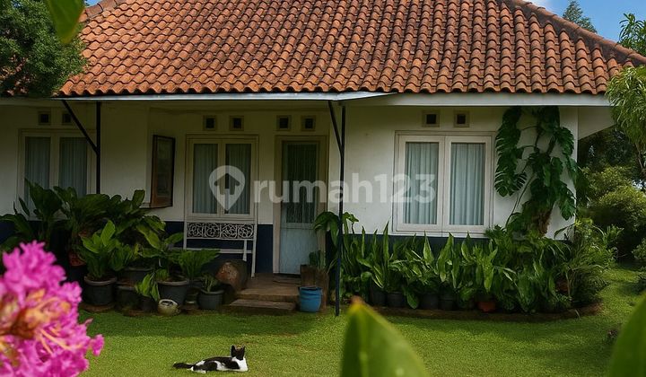 Jual Rumah Vila Villa Luas Nuansa Belanda View Pegunungan Harga Bersahabat Di Lembang Bandung Utara Jual Rumah Vila Villa Luas Nuansa Belanda View Pegunungan Harga Bersahabat Di Lembang Bandung Utara