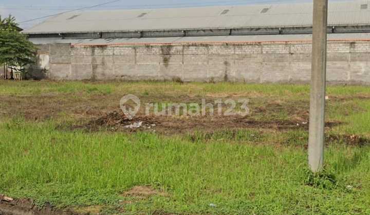 Murah Tanah Kepatihan Benowo Driyorejo Murah Tanah Kepatihan Benowo Driyorejo