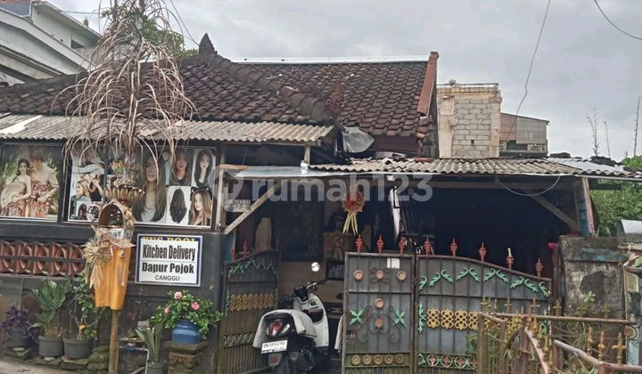 For Sale: 1-Bedroom Second Floor House in Uma Buluh, Canggu Berawa 2