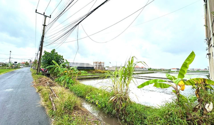 Premium Land Near Cemagi Beach Premium Land Near Cemagi Beach