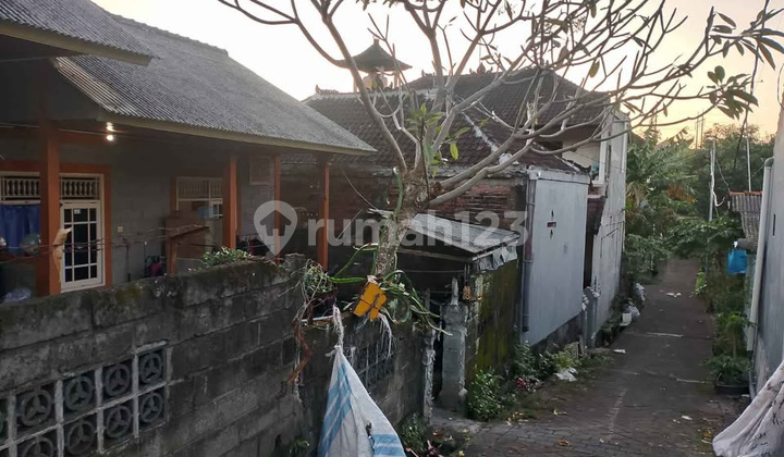 Kosan Lantai 1 Dalung Tegal Jaya Badung Kosan Lantai 1 Dalung Tegal Jaya Badung
