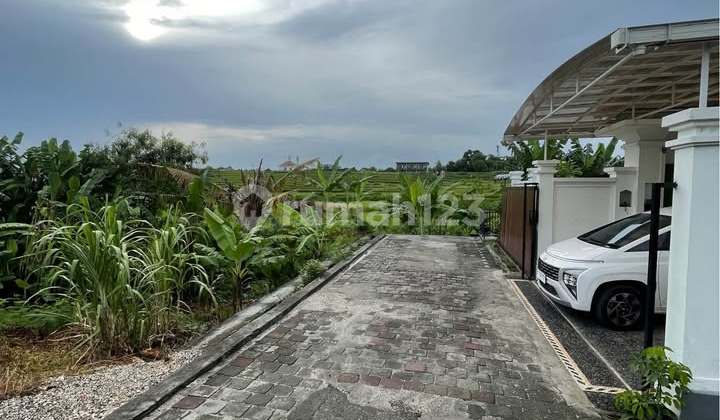 Disewakan Tanah Buduk Timur Mengwi Badung Disewakan Tanah Buduk Timur Mengwi Badung