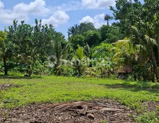 Land for rent at Kelating Beach, Tabanan, pink zone.