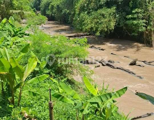 Land for rent at Kelating Beach, Tabanan, pink zone.