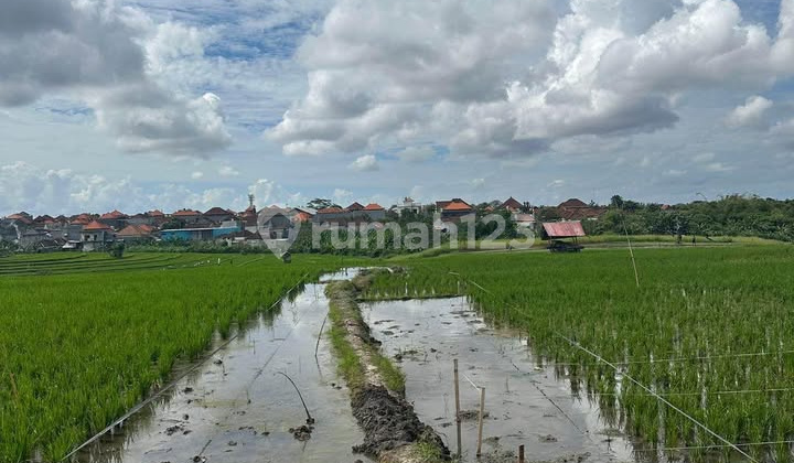 Villa Plot Land in Dawas Near Canggu Tibubenang Villa Plot Land in Dawas Near Canggu Tibubenang