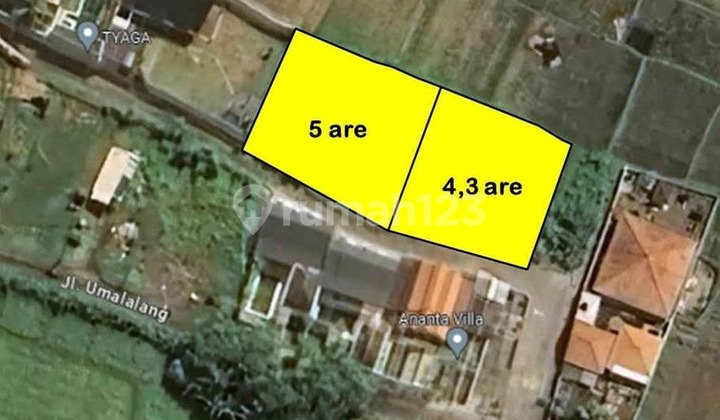 Di Jual Tanah di Pantai Cemagi 5 Are & 4,3 Are Di Jual Tanah di Pantai Cemagi 5 Are & 4,3 Are