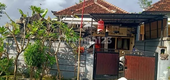 For Sale House Location Kopertis Cekomaria West Denpasar