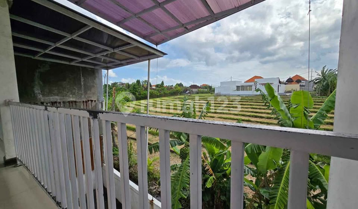 Dijual Rumah Di Canggu Lokasi Strategis