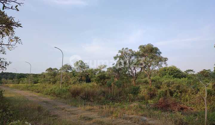 Dijual kavling industri di Kalijati Subang 9