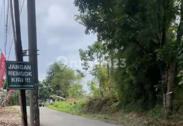 Tanah SHM 2 Ha Pinggir Jalan Sukamakmur Bogor