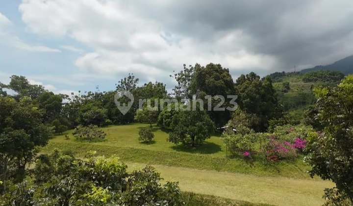 Lahan Kebun Produktif 3,5 Ha dengan Vila di Cijeruk Bogor Lahan Kebun Produktif 3,5 Ha dengan Vila di Cijeruk Bogor