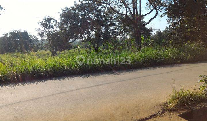 Dijual murah Tanah pinggir jalan bedahan depok 5