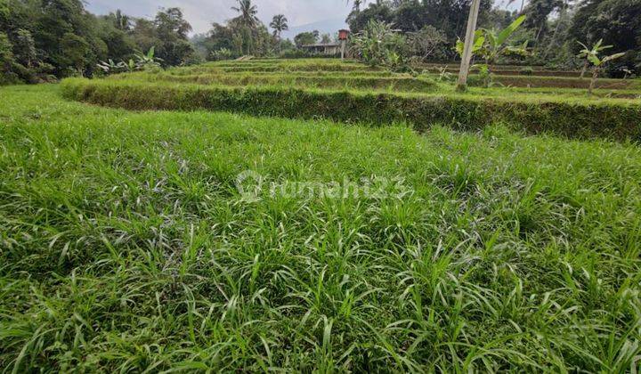 Jual cepat tanah produktif cidahu sukabumi 5
