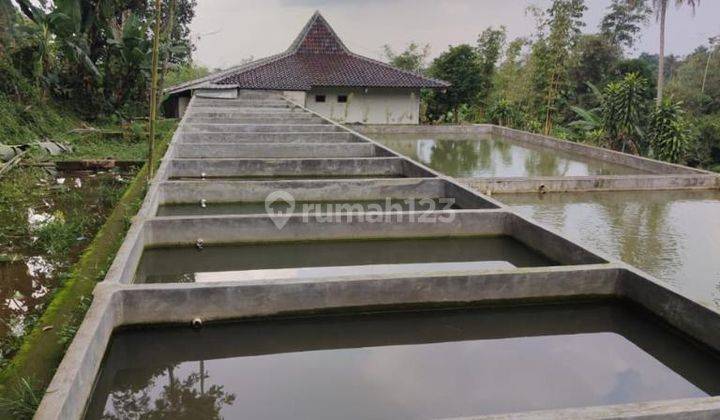 Jual cepat tanah produktif cidahu sukabumi 7