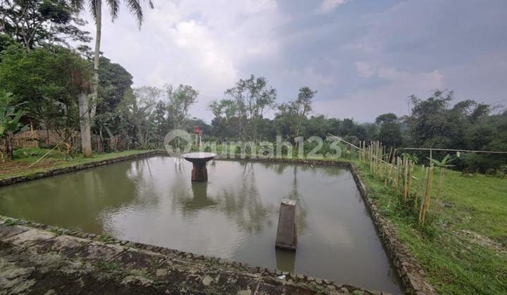 Jual cepat tanah produktif cidahu sukabumi 9