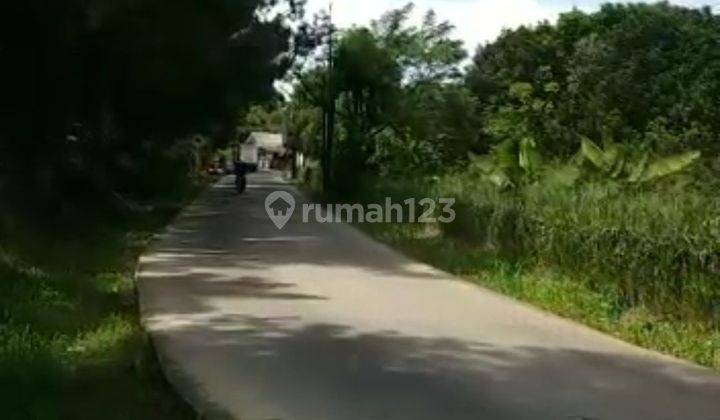 Jual Cepat Murah Tanah di Tajur Halang Parung Strategis dan Prospek  2