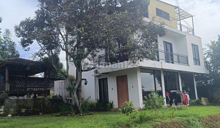 Jual Murah Villa  Di Bawah Pasaran Rumah Mewah Dan Luas Lokasi Bogor Cijeruk  2