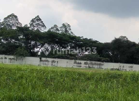 Disewakan kavling komersial siap bangun lokasi strategis pinggir jalan utama dekat lampu merah goldfinch gading jalan BSD raya boulevard Disewakan kavling komersial siap bangun lokasi strategis pinggir jalan utama dekat lampu merah goldfinch gading jalan BSD raya boulevard