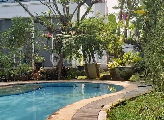Rumah Hoek Mewah Lippo Karawaci, Kolam Renang & SHM 2