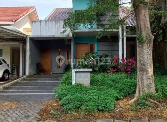 Rumah Murah Kawasan Elite Perumahan Ijen Nirwana Luas 247 m2 2