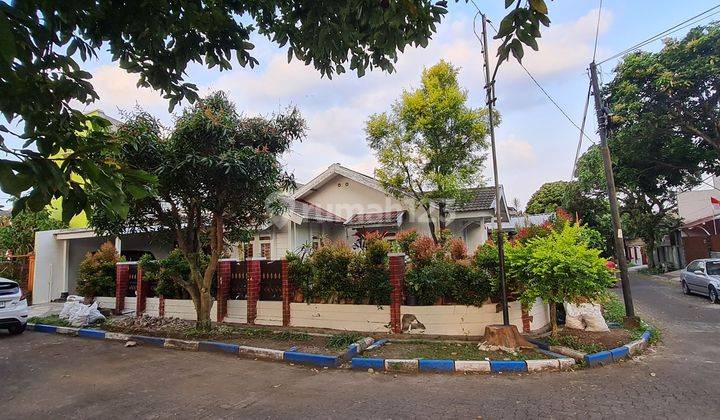 Rumah Murah Hitung Tanah Luas 249 m2 Kawasan Elite Perumahan Araya 1