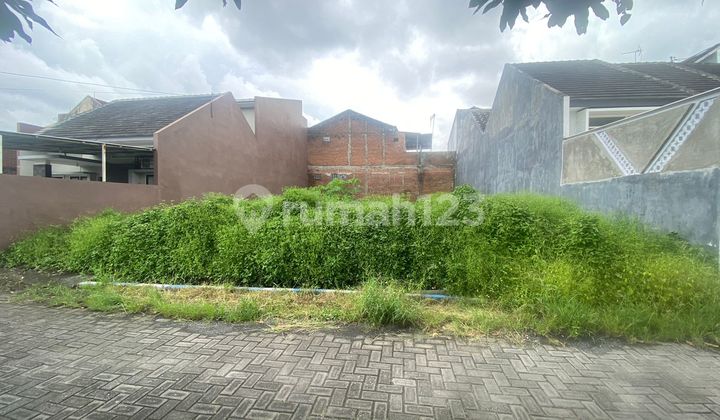 Tanah Murah 6 Jt An Strategis Area Kos Perumahan Dekat Sudimoro Suhat Tanah Murah 6 Jt An Strategis Area Kos Perumahan Dekat Sudimoro Suhat