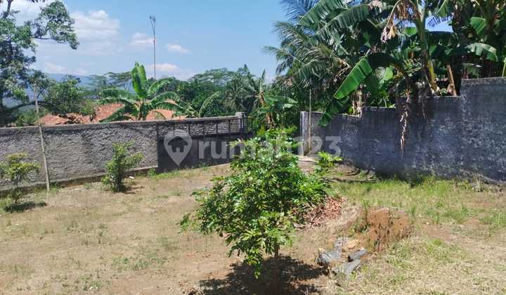 Dijual Tanah Kosong Area Kampung Lengis,, Cijeruk - Kabupaten Bogor