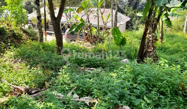 Tanah Murah Pusat Kota Bdg Cocok Untuk Perumahank 