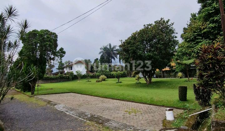 Need Quick Villa in Puncak Cisarua Very Cheap Need Quick Villa in Puncak Cisarua Very Cheap