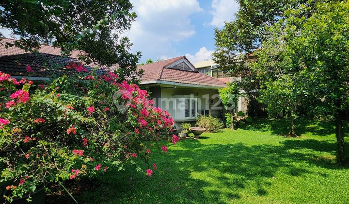 Rumah Lama Komplek Taman Cilandak Bisa Beli Setengahnya Rumah Lama Komplek Taman Cilandak Bisa Beli Setengahnya