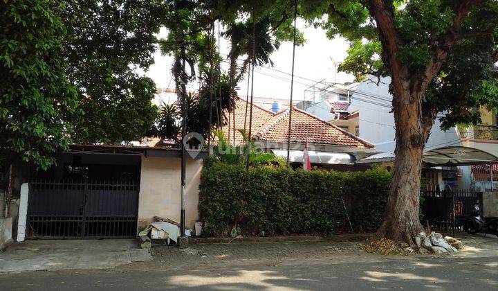 Rumah Butuh Renovasi SHM di Jl Lamandau, Jakarta Selatan 1