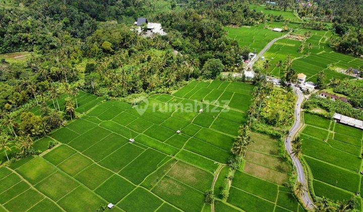 tanah luas siap bangun cck untuk resort hotel di area ubud 1