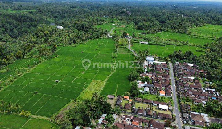 tanah luas siap bangun cck untuk resort hotel di area ubud 2