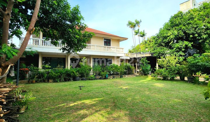 Serene House with Spacious Yard Near MRT in Kebayoran Baru Area