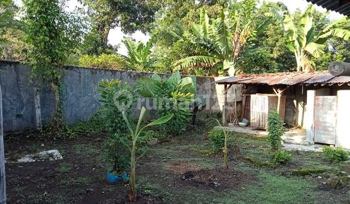 MARGASARI TEGAL JATENG Rumah Dijual Murah Tanah Luas Lokasi Strategis 5