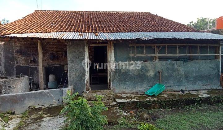MARGASARI TEGAL JATENG Rumah Dijual Murah Tanah Luas Lokasi Strategis 8