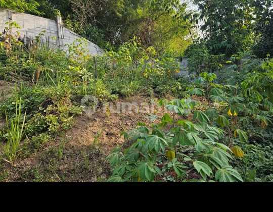 Rumah Dengan Tanah Luas Di Banjaran 2