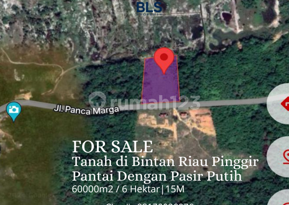 For Sale Tanah di Bintan Riau Pinggir Pantai dengan Pasir Putih