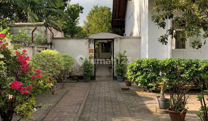 Rumah Dan Kos kosan di Jl. Pendidikan Kota Mataram  1