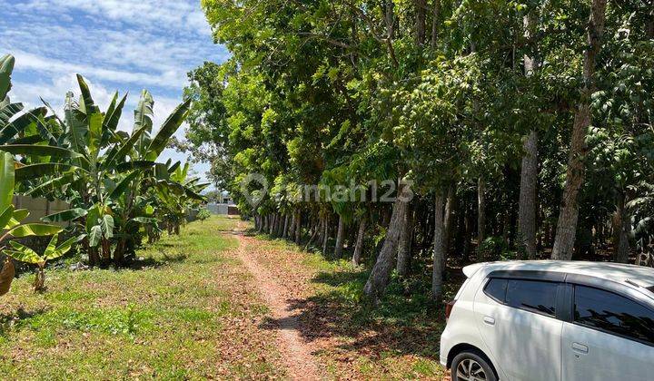 Tanah Pinggir Pantai Montong Dekat Hotel Jayakarta  2