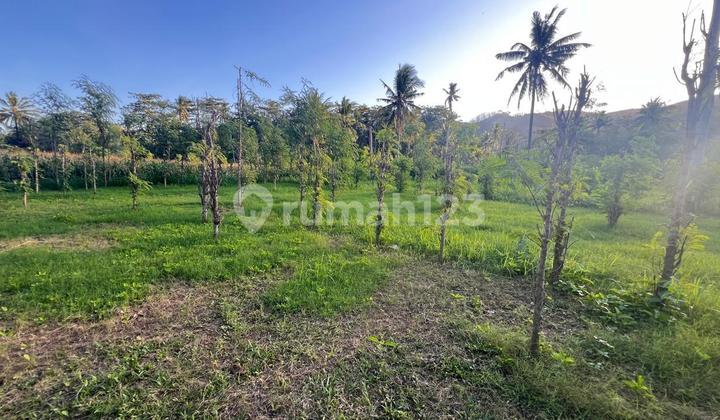 Leasehold land plot in Prabu near Kuta Mandalika